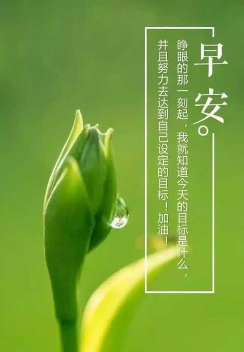无法恢复备份怎么办啊华为.侧重点(图)