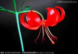 平台提不出款有维护几天的吗.内容核心（图）