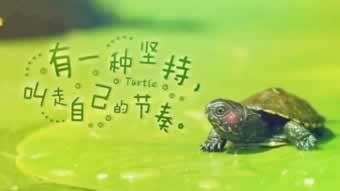 提现的钱多久到账.文章开头语(图)