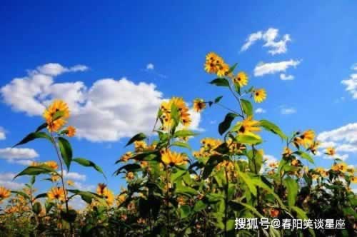 网站平台拒绝给我出款怎么办怎么办好.文章导言(图)