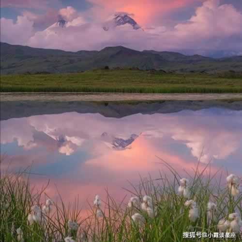 网上平台出款失败怎么办.内容概略(图)