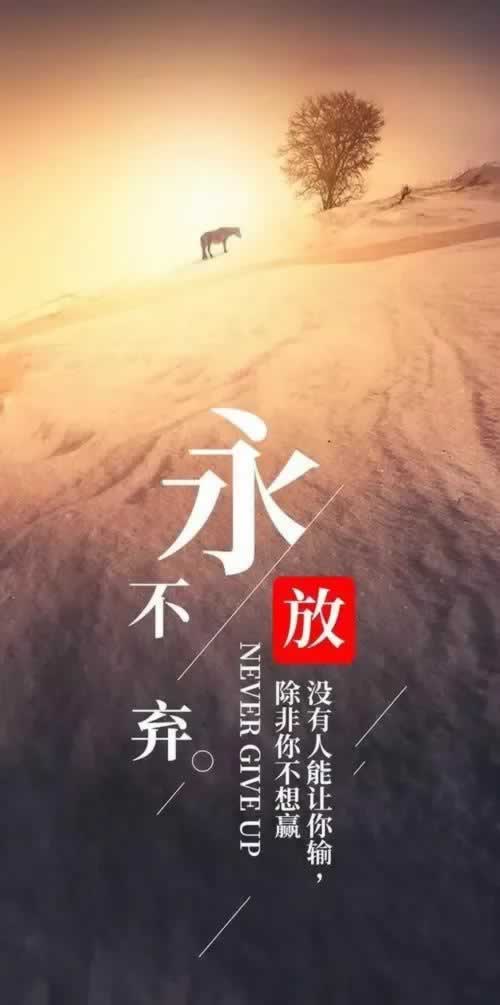在网站提款被退回,注单异常可以出款.侧重点(图)