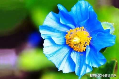 指定教程在网上平台被黑不能提款怎么回事！解决最好的办
