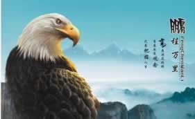 提现被拒绝是不是平台跑路了.内容随笔(图)