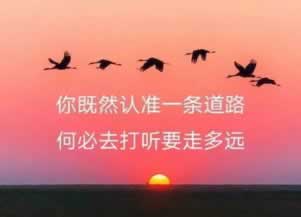 最新总结被黑提款被拒有什么方法吗知乎解决几种办法