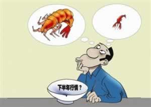 365账号多少钱.文章导言(图)