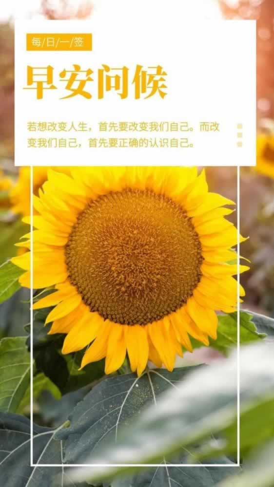 【网站被黑了审核还提不出款异常审核有效方式分享】·这里有妙招