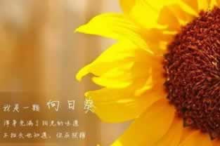 账号审核取不出钱怎么办三招解决问题.提要(图)