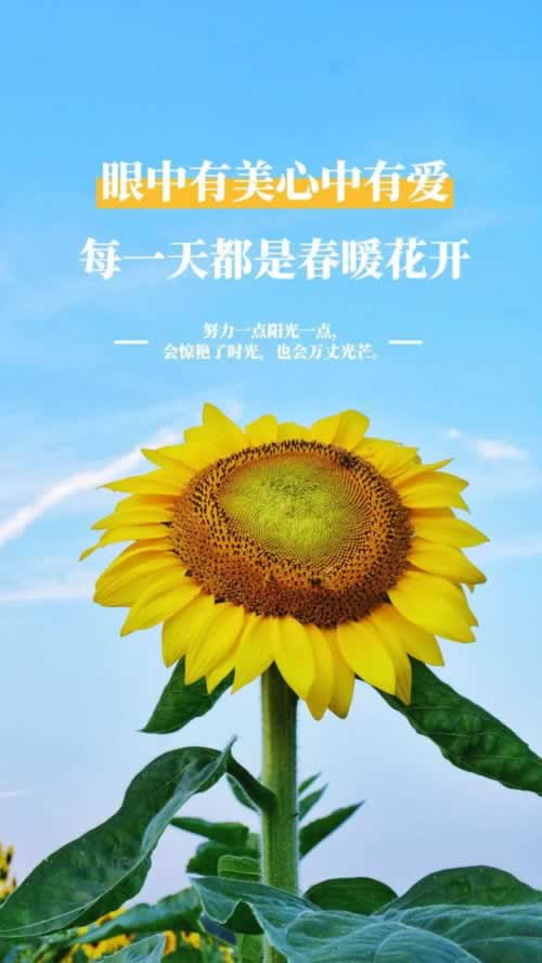 【这些黑平台说在审核中】揭露内幕真相
