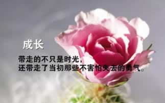 出款通道正在维护中怎么解决呢.内容导语(图)