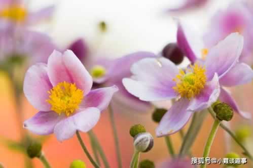 网上被黑提现不了怎么办.读者的话(图)