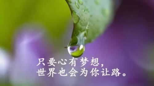 在黑平台被黑不能出款.概述(图)