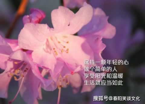 流水通不过怎么处理.文章概览（图）