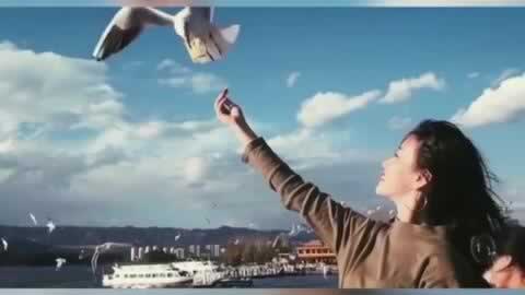必看教程《数据未同步不让提款了怎么办呢》,解决最好的办