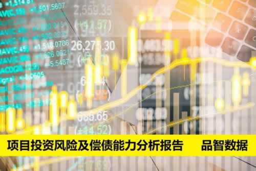 客服说通道维护升级.内容慨述(图)