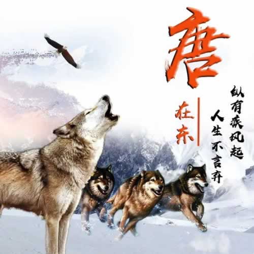必看教程一直让罚流水提不了款怎么办经验分享!真实成功案例