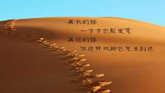 已出款但是钱没到账.引文(图)