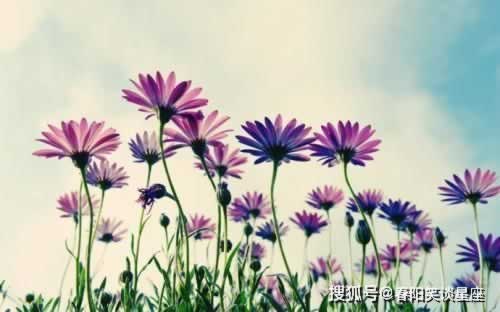 指定教程出款一直审核中是不是被黑了。揭露内幕真相
