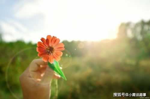 一直让罚流水提不了款怎么办解决应对办法.自序(图)