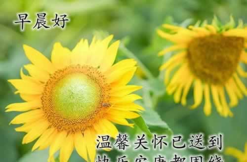 风控审核拒绝怎么办.引题(图)