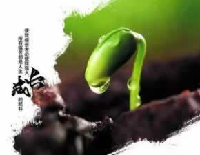 被黑了取不出钱怎么办揭秘真相.侧重点(图)