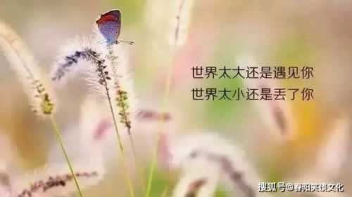网络网站藏分出款的成功率?网站的真实情况.文章引题（图）