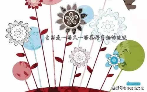 一直让罚流水提不了钱怎么办揭秘真相.内容核心(图)