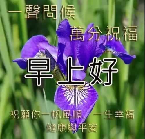 一倍流水提现是多少钱啊怎么算的呢.文章导言(图)