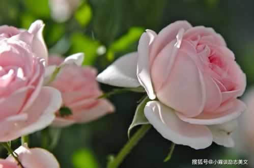 黑平台被黑不能提款怎么办呢.概括(图)