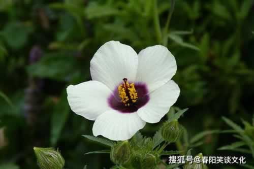 被黑系统风控异常不能提款.文章开头语(图)