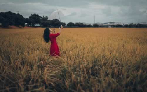 遇到黑网第三通道维护提不了怎么办?教你怎么办.内容概略(图)