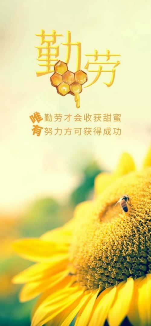出款通道正在维护中怎么办呢.文章引题(图)