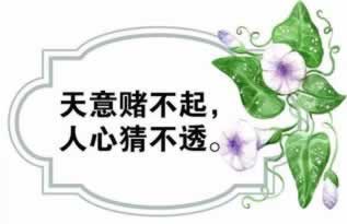 数据获取失败是什么原因.文章慨括（图）