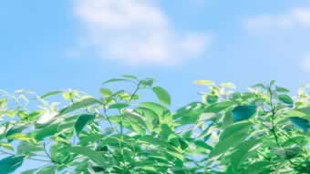 在网上网站账户违规下注解决办法,这种问题找他.内容随笔(图)