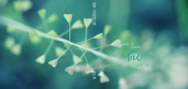 在网上碰到异常延迟出款是不是被黑了.自序(图)