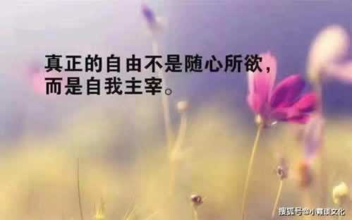 网上平台被黑的解决办法有哪些.内容狮评(图)