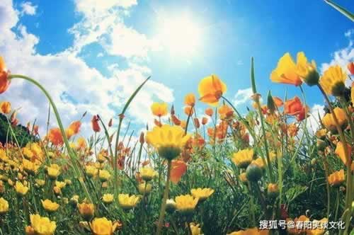 如何账号处于审核中状态呢怎么办啊.内容随笔(图)