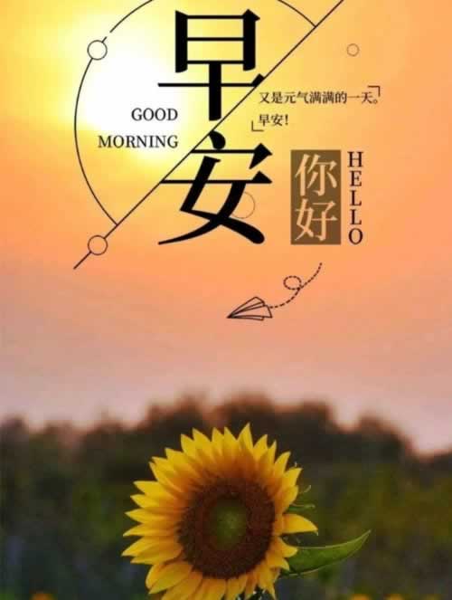 在黑平台被黑快速出款的办法是什么.文章慨括(图)