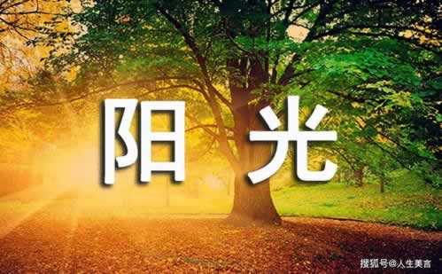 数据未同步提不了钱怎么办掌握更多.引题（图）