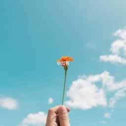 打码量不够怎么解决提现失败.内容随笔(图)