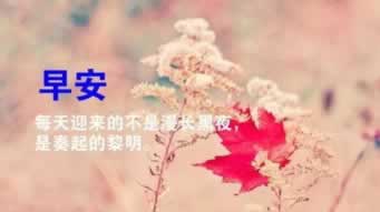 提现被风控怎么办.提要(图)