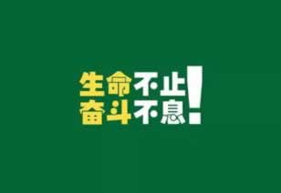 出款所需打码量是什么.概述(图)