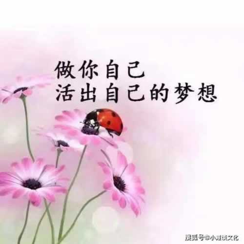 网上被黑不给提现的解决办法是什么.文章创作谈(图)