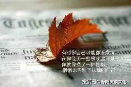 被黑取款技术能追回吗.编者心得(图)