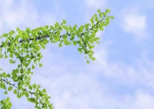【审核通过了,不能提现怎么办呢】_解决最好的办