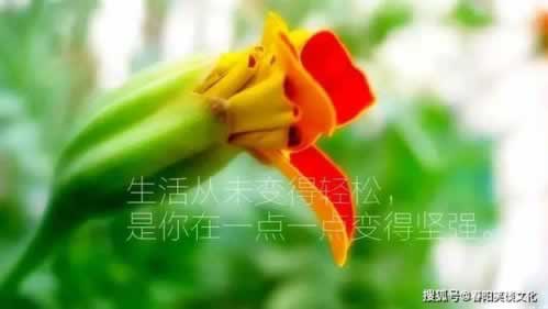 账号审核取不出钱怎么办揭秘真相.概括(图)