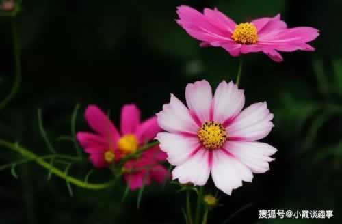 遇到不给提现怎么办这里有妙招.文章引题（图）