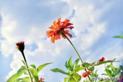 黑网通道维护风控部门审核被黑不给提款.文章引题(图)