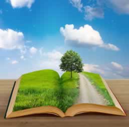 遇到黑网不给提款一直在审核维护怎么办?怎么是这样的.文章创作谈(图)