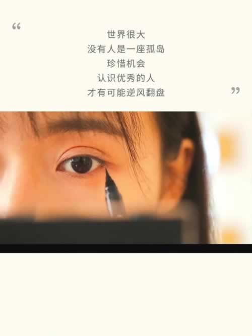 网上被黑：提示风控审核不通过.提要（图）